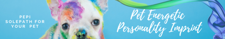 PEPI: pet energetic personality imprint. SolePath for your beloved pet!