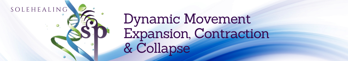 Field Dynamics expansion contraction and collapse