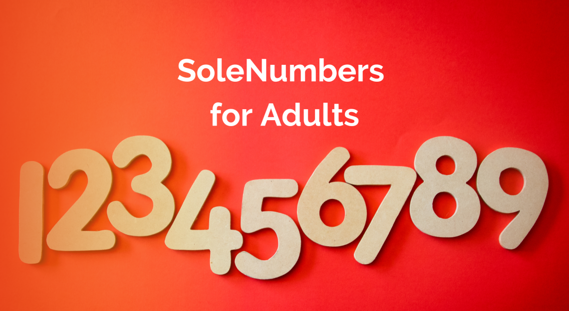 numbers 1 through 9 SoleNumbers for adults