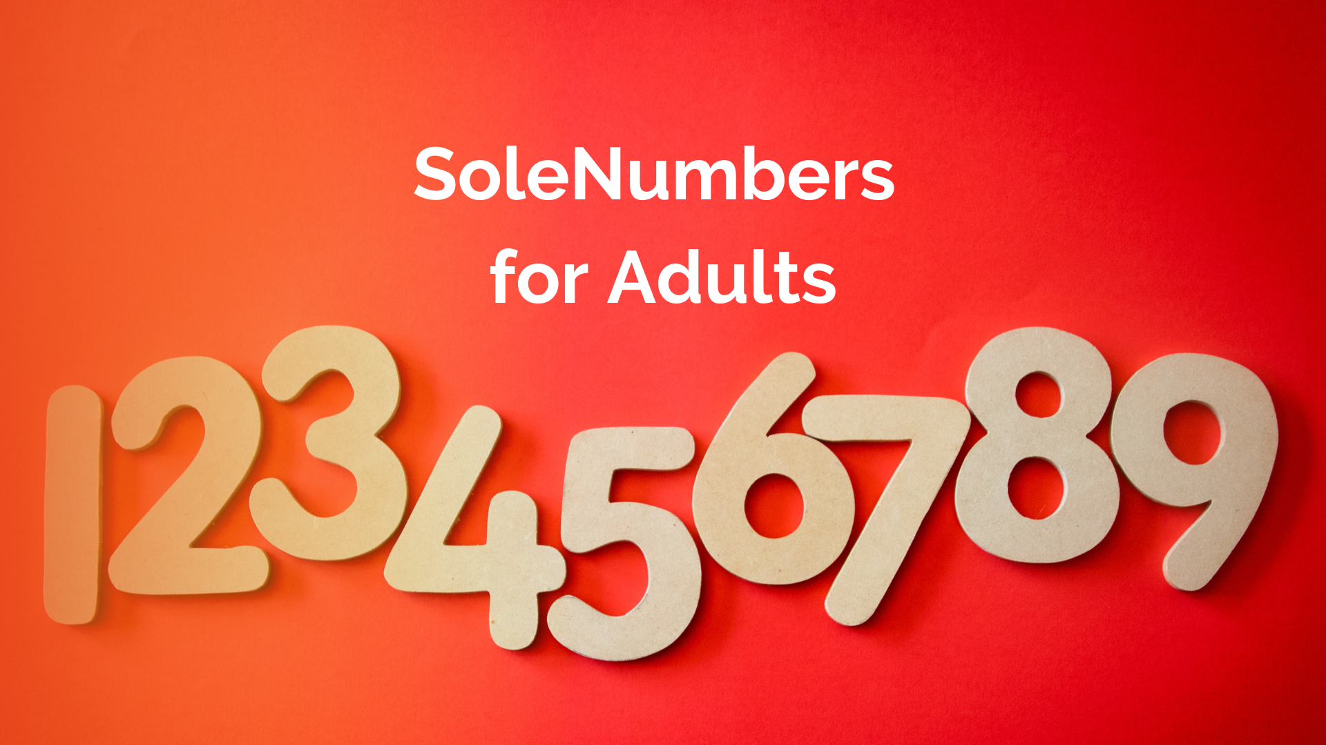 numbers 1 through 9 SoleNumbers for adults