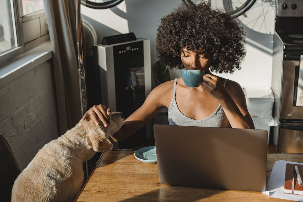 Self assured young black woman working remotely on netbook while sitting in room at table and drinking coffee while petting dog. Month energy of May is number 2 Self worth